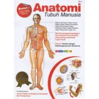 Image of Anatomi Tubuh Manusia